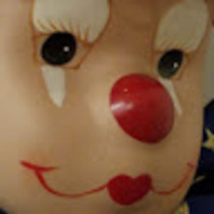 Meet your Posher, Shelby